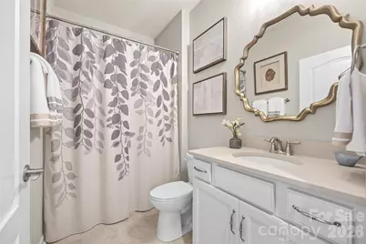 738 Peach Valley Lane, Fort Mill, SC 29715 - Photo 23