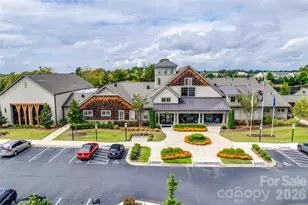 738 Peach Valley Ln, Fort Mill, SC 29715 - Photo 33