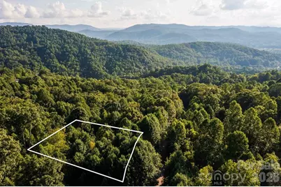 000 Ivywood Lane #13, Laurel Park, NC 28739 - Photo 1