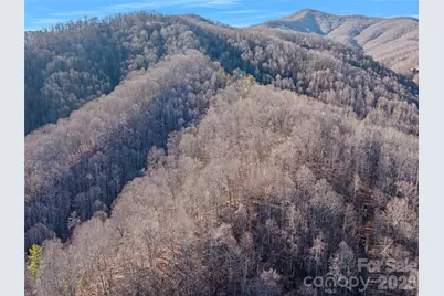 00 Lotties Creek Road, Burnsville, NC 28714 - Photo 19