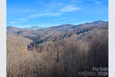 00 Lotties Creek Road, Burnsville, NC 28714 - Photo 11