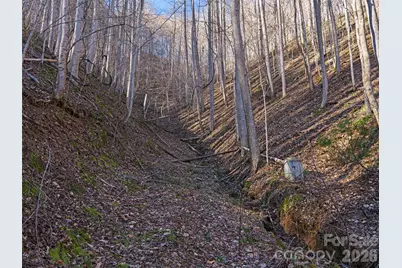 00 Lotties Creek Road, Burnsville, NC 28714 - Photo 3