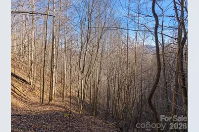 00 Lotties Creek Road, Burnsville, NC 28714 - Photo 7