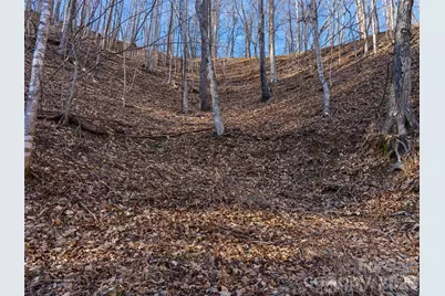 00 Lotties Creek Road, Burnsville, NC 28714 - Photo 5