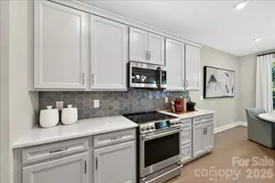 217 Landy St, Fort Mill, SC 29715 - Photo 11