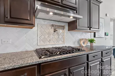 15110 Brannock Hills Drive, Charlotte, NC 28278 - Photo 5
