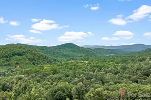 41 Bear Trail, Fairview, NC 28730 - Photo 35