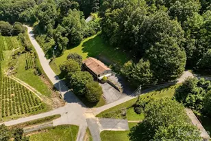 299 McDowell Ln, Burnsville, NC 28714 - Photo 11
