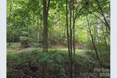 00 Creekside Drive, Maggie Valley, NC 28751 - Photo 5