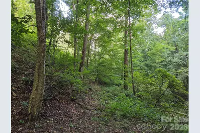 00 Creekside Drive, Maggie Valley, NC 28751 - Photo 9