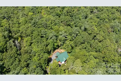 142 W Southwood Drive, Brevard, NC 28712 - Photo 41