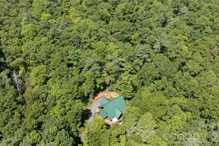 142 W Southwood Dr, Brevard, NC 28712 - Photo 41
