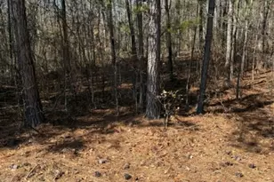 7155 Hwy 74 Hwy E, Lilesville, NC 28091 - Photo 25