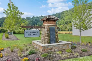 31 Clear Crk Ln, Waynesville, NC 28785 - Photo 3