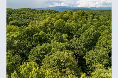Tbd Usdasdi Drive, Brevard, NC 28712 - Photo 5