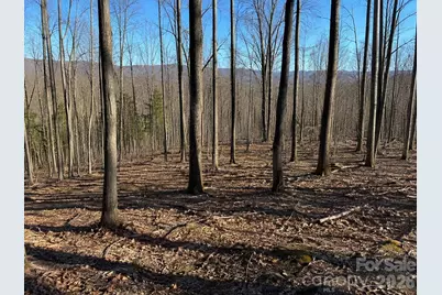 00 Crab Apple Drive, Burnsville, NC 28714 - Photo 1