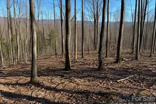 00 Crab Apple Dr, Burnsville, NC 28714 - Photo 1