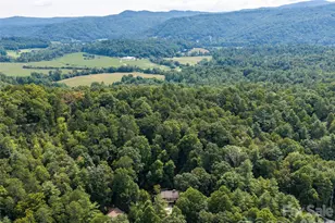 113 Riverside Estate Rd, Brevard, NC 28712 - Photo 35