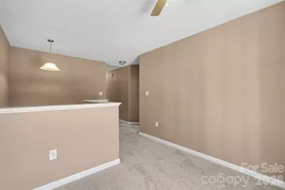 145 High Bluff Circle, Mooresville, NC 28115 - Photo 13
