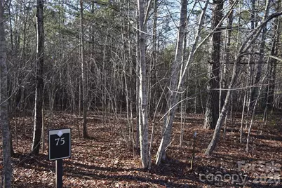 Lot 75 Tayberry Drive, Nebo, NC 28761 - Photo 9