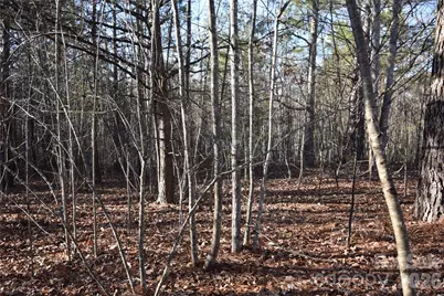 Lot 75 Tayberry Drive, Nebo, NC 28761 - Photo 5