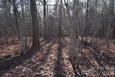 Lot 75 Tayberry Drive, Nebo, NC 28761 - Photo 3