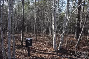 Lot 75 Tayberry Dr, Nebo, NC 28761 - Photo 1