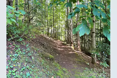391 Grand Vista Drive, Sylva, NC 28779 - Photo 35