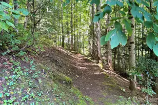 391 Grand Vista Dr, Sylva, NC 28779 - Photo 35