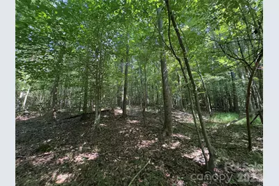 None Laboratory Road, Lincolnton, NC 28092 - Photo 17