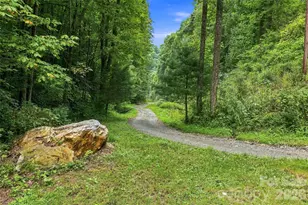 118 Mary's Wy, Marshall, NC 28753 - Photo 45