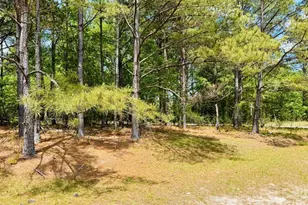 385 Elbert Baskins Rd, Cheraw, SC 29520 - Photo 1