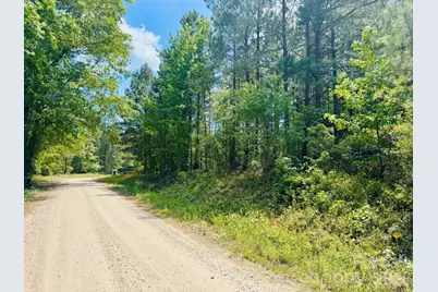 385 Elbert Baskins Road, Cheraw, SC 29520 - Photo 5