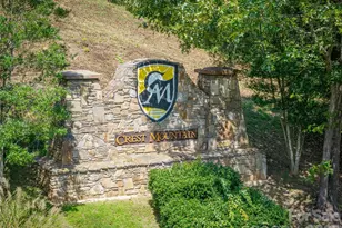 4 Chimney Crest Dr, Asheville, NC 28806 - Photo 47