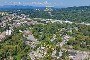 293 Fairview Rd, Asheville, NC 28803 - Photo 47