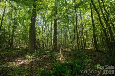 00 Old Bradshaw Road, Salisbury, NC 28147 - Photo 11