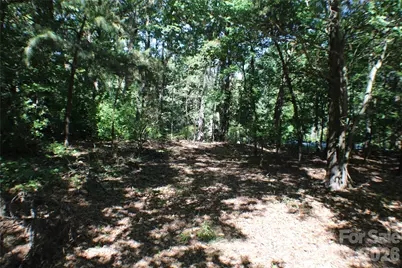 0000 Fairfield Forest Road, Denver, NC 28037 - Photo 9