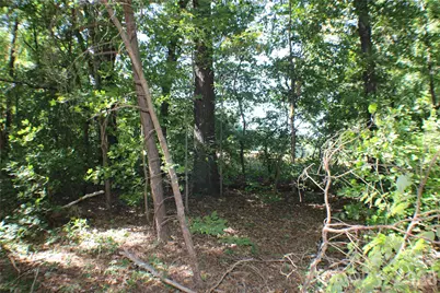 0000 Fairfield Forest Road, Denver, NC 28037 - Photo 7