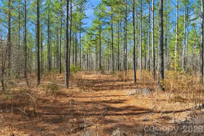 000 Peacehaven Road #7, McConnells, SC 29726 - Photo 3
