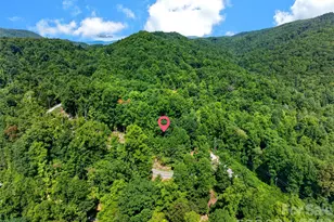 898 Morgan Hill Rd, Black Mountain, NC 28711 - Photo 47