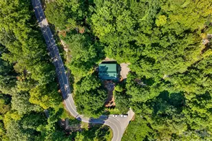 898 Morgan Hill Rd, Black Mountain, NC 28711 - Photo 45