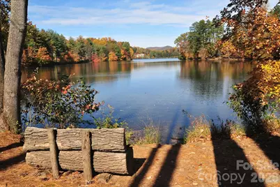 323 Fennel Dun Circle, Biltmore Lake, NC 28715 - Photo 43