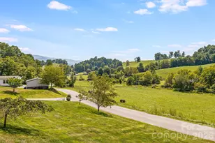 582 John Henry Rd, Burnsville, NC 28714 - Photo 29