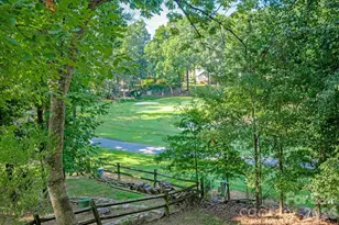 10009 Thomas Payne Cir, Charlotte, NC 28277 - Photo 27