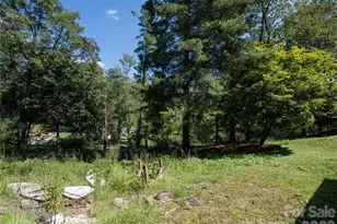 26 Audrey Ln, Asheville, NC 28806 - Photo 33