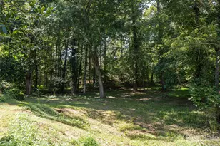 26 Audrey Ln, Asheville, NC 28806 - Photo 37