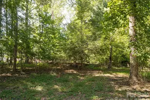26 Audrey Ln, Asheville, NC 28806 - Photo 35