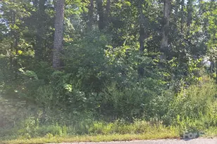 123 Brentwood Rd, Morganton, NC 28655 - Photo 1
