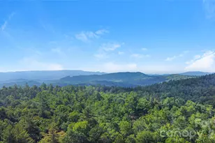 97 Toxaway Vws Dr, Lake Toxaway, NC 28747 - Photo 21
