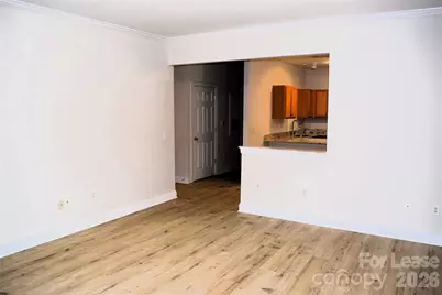 19919 Weeping Water Run, Cornelius, NC 28031 - Photo 3